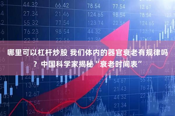 哪里可以杠杆炒股 我们体内的器官衰老有规律吗？中国科学家揭秘“衰老时间表”