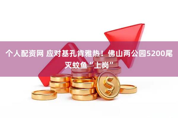 个人配资网 应对基孔肯雅热！佛山两公园5200尾灭蚊鱼“上岗”