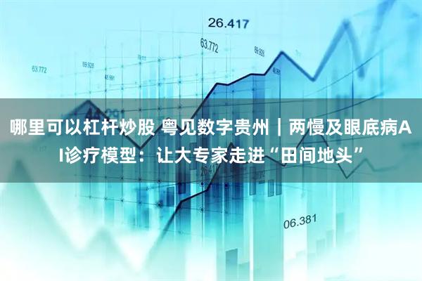 哪里可以杠杆炒股 粤见数字贵州｜两慢及眼底病AI诊疗模型：让大专家走进“田间地头”